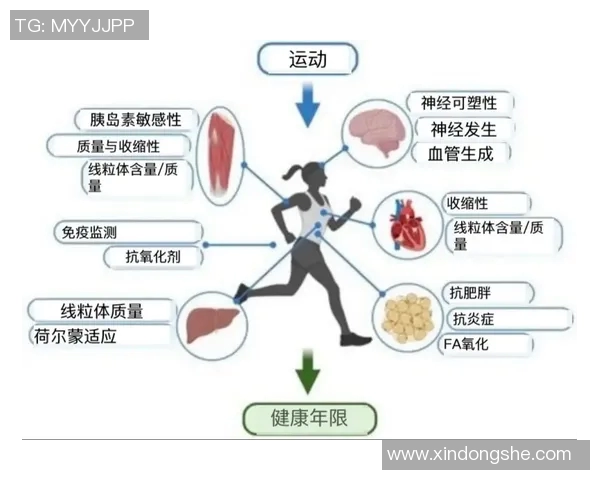 常见有氧运动类型介绍及其对健康的多重益处分析