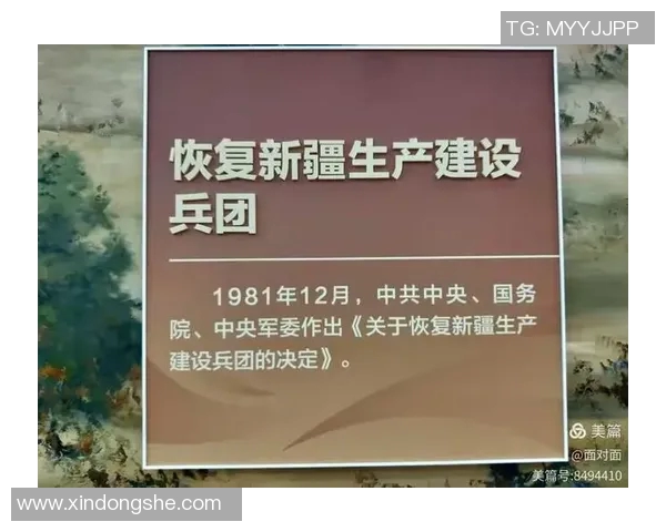 运动巨星的奋斗历程与成就探索：从坚持到辉煌的全景式解读