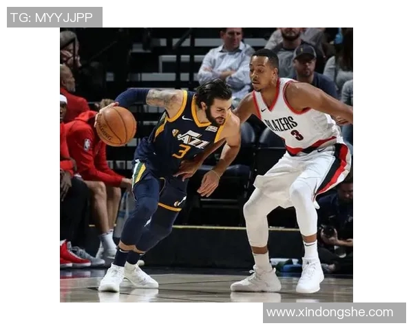 NBA驱逐和罚款制度分析 球员行为规范与球队管理的双重考量 NBA驱逐和罚款制度分析 球员行为规范与球队管理的双重考量