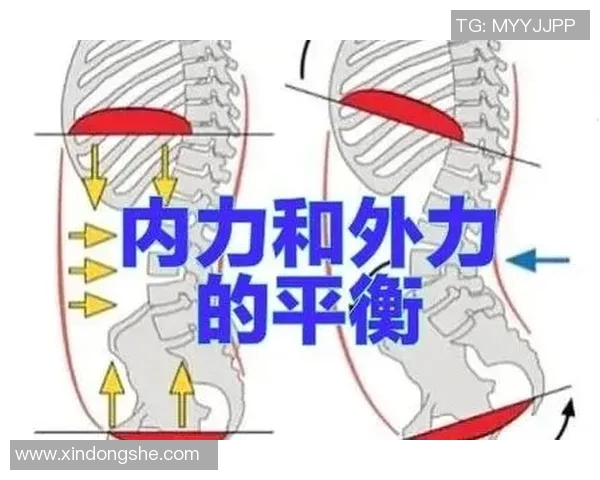 以體能測試為核心探索運動表現與健康狀況的關聯性與應用研究
